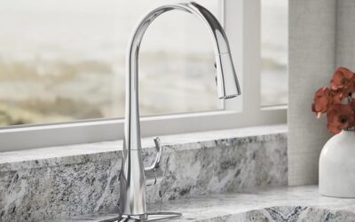 Saving Water with High-Efficiency Plumbing Fixtures: A Smart Choice for Your Home and the Environment